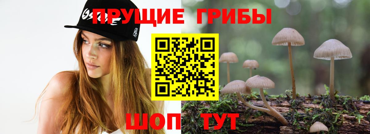 цена наркотик  Вход с VPN  Трёхгорный  Галлюциногенные грибы MAGIC MUSHROOMS 